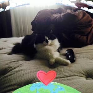 Meet your Posher, Carrieanne